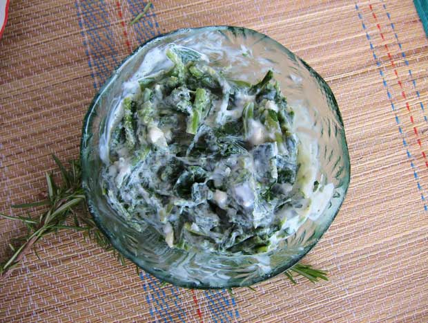 Водопија (Цикоријa) - Оброк од листова с киселим млеком
