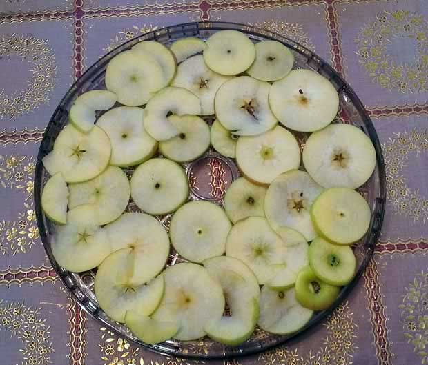 Listići jabuke